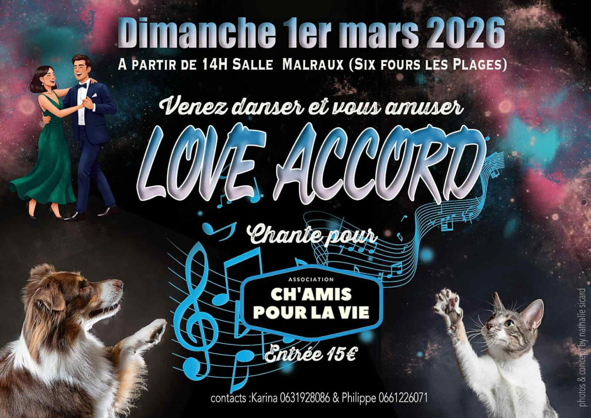 APRES-MIDI DANSANT AU PROFIT DES ANIMAUX | Ch'amis pour la vie