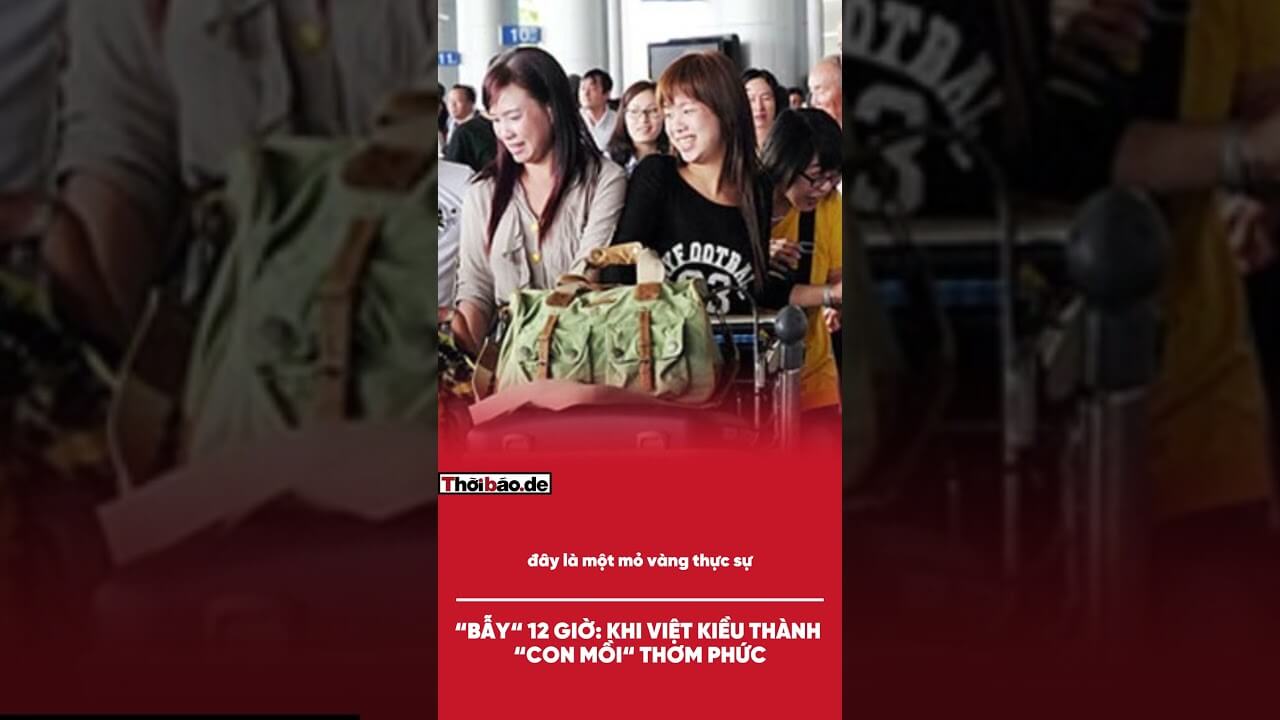 "Bẫy" 12 Giờ: Khi Việt Kiều Thành "Con Mồi" Thơm Phức