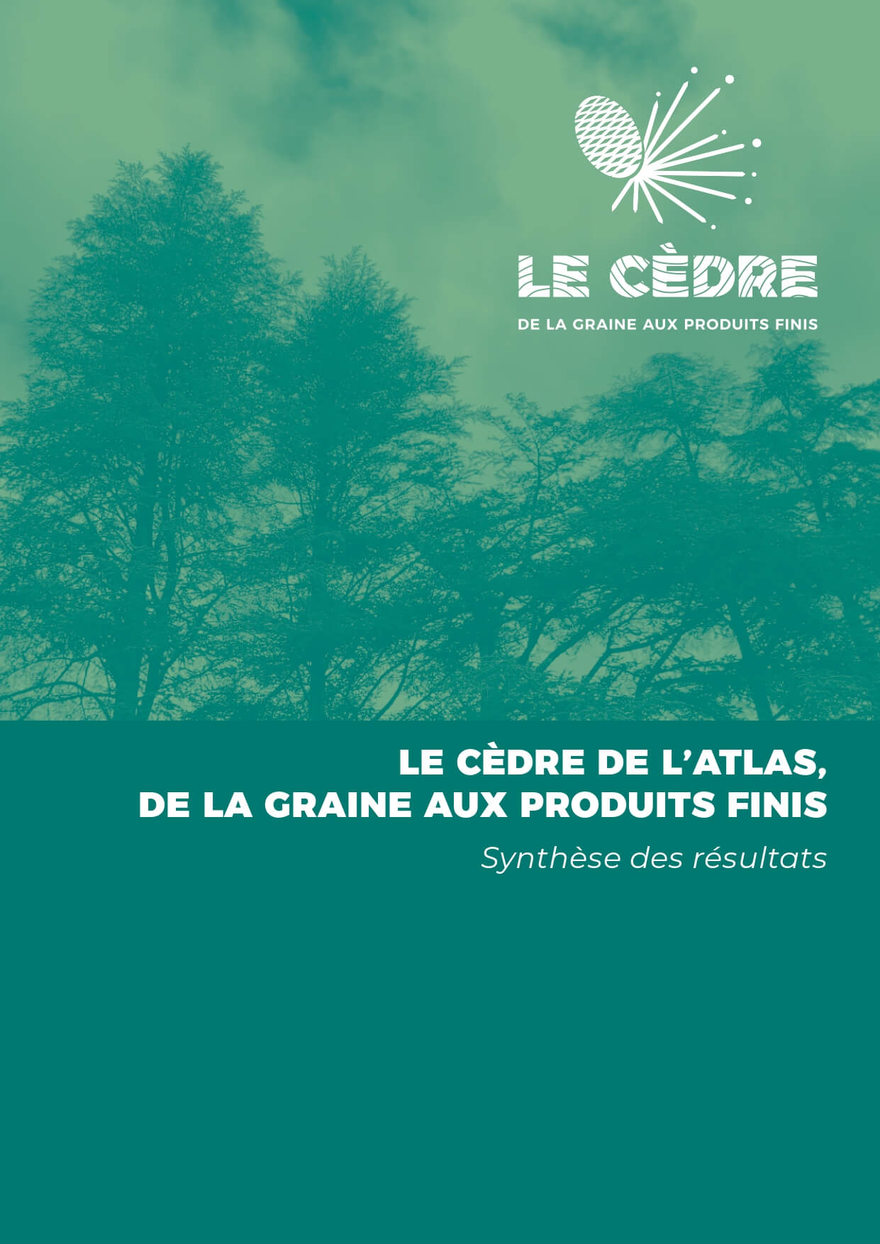 Le Cèdre de l'Atlas, de la graine aux produits finis | Fibois Sud