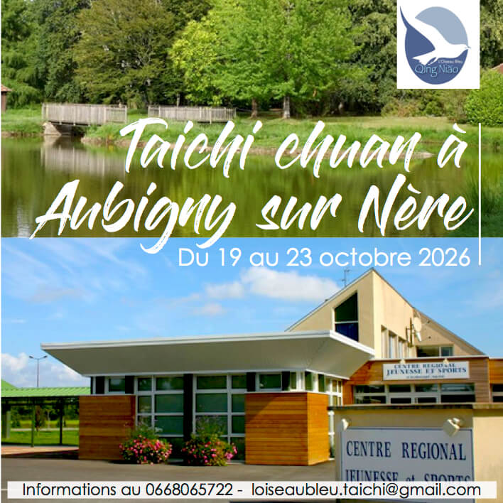 Taichi chuan à Aubigny sur Nère | L'Oiseau Bleu/QingNiao