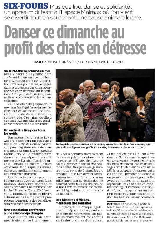 Danser au profit des chats en détresse | Ch'amis pour la vie