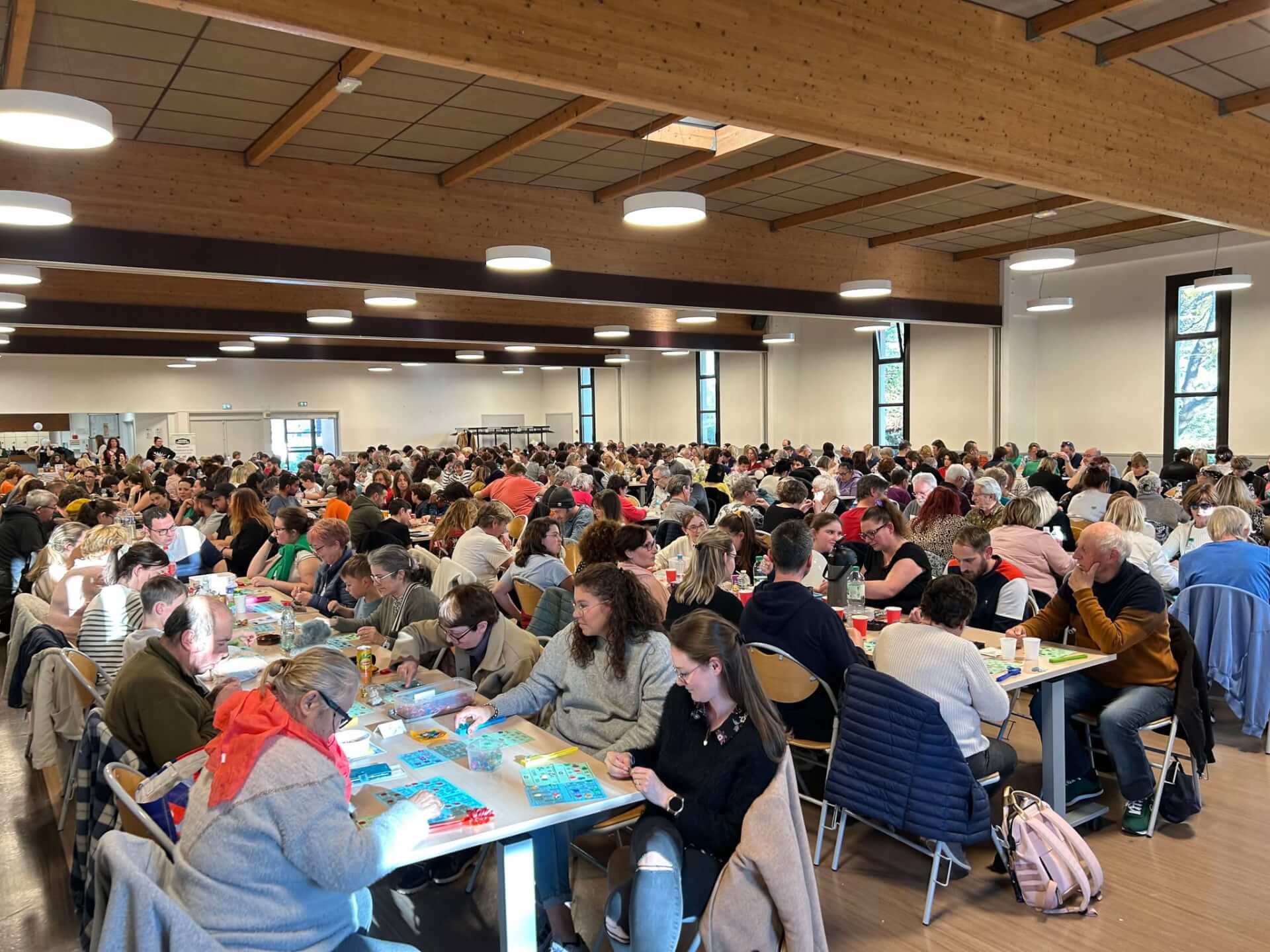 Dimanche, un loto pour aider les chats | Ch'amis pour la vie