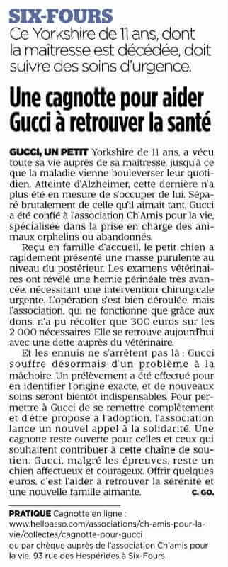 Une cagnotte pour aider Gucci à retrouver la santé | Ch'amis pour la vie