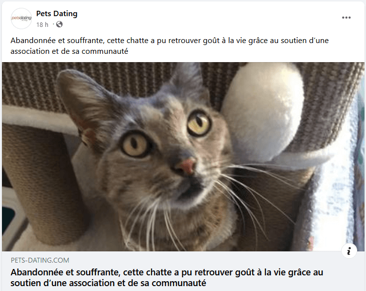 Abandonnée et souffrante | Ch'amis pour la vie