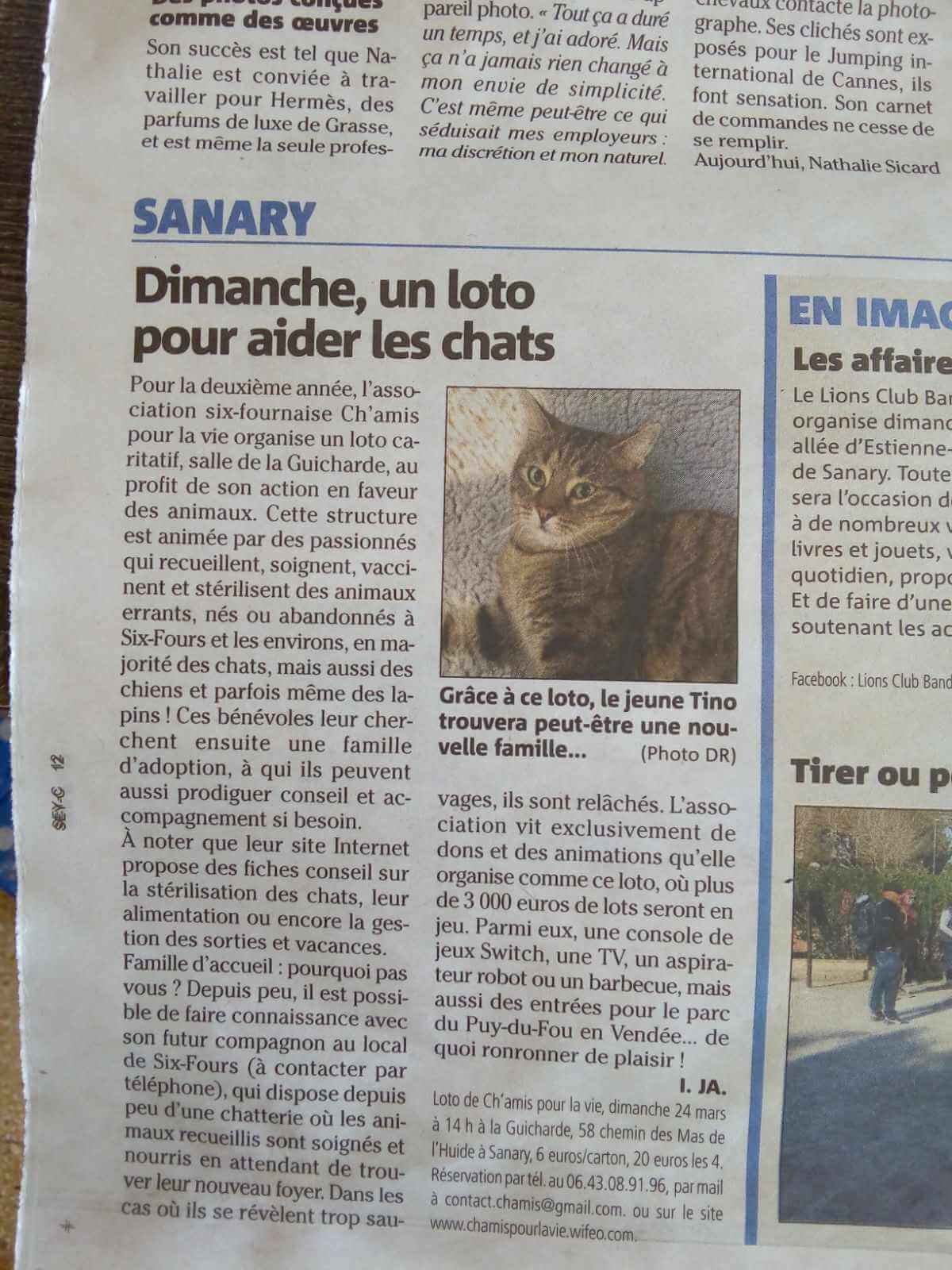 Un loto pour aider les chats | Ch'amis pour la vie