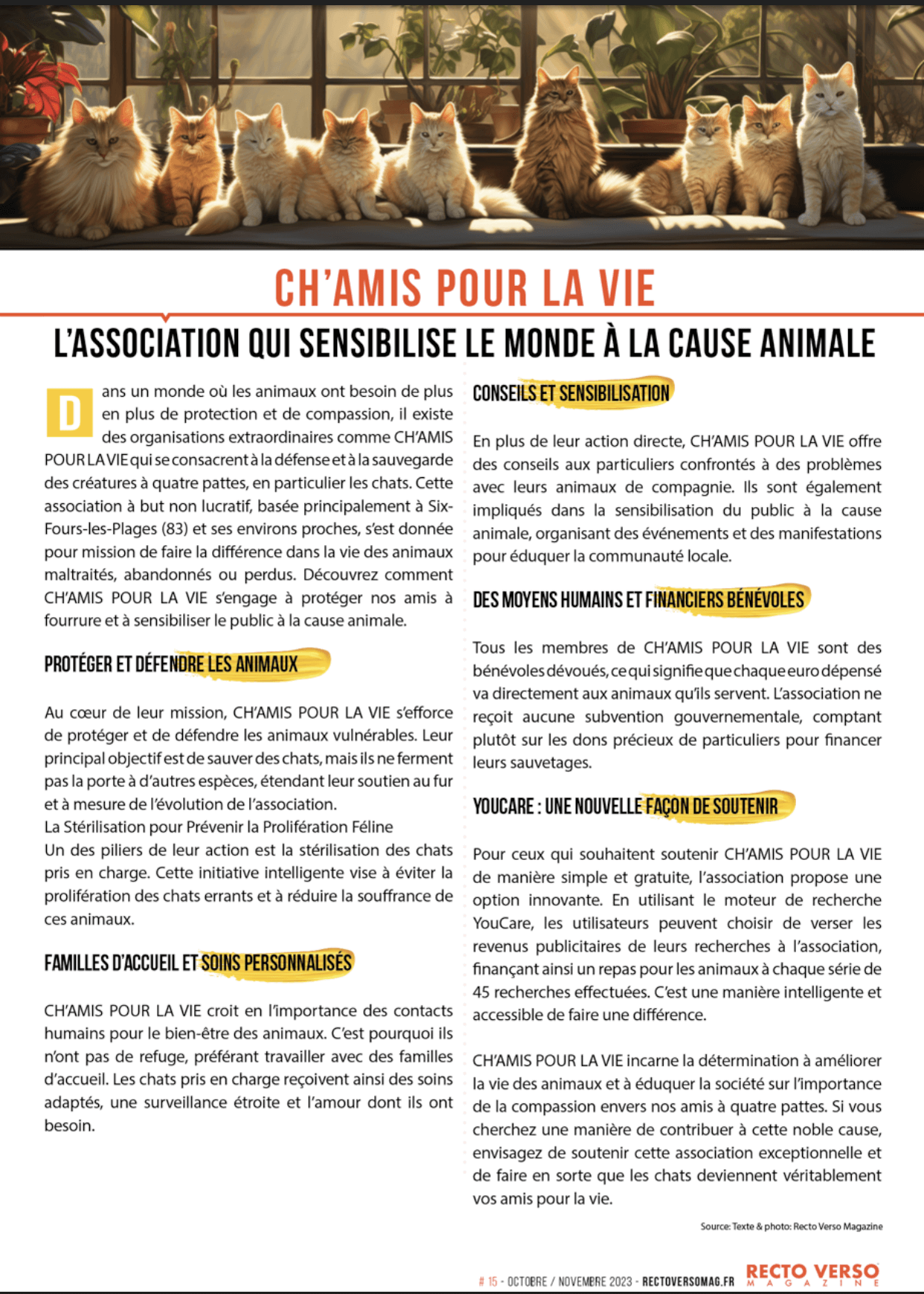L'association qui sensibilise le monde à la cause animale | Ch'amis pour la vie