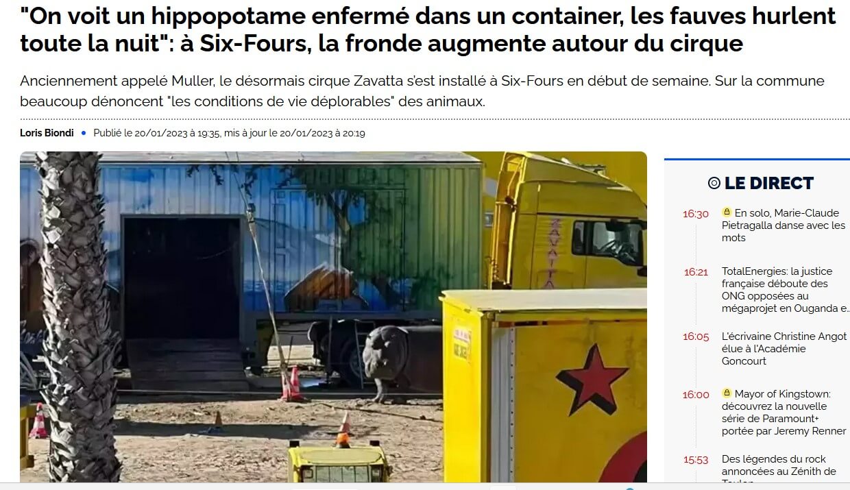 On voit un hippopotame enfermé dans un container | Ch'amis pour la vie