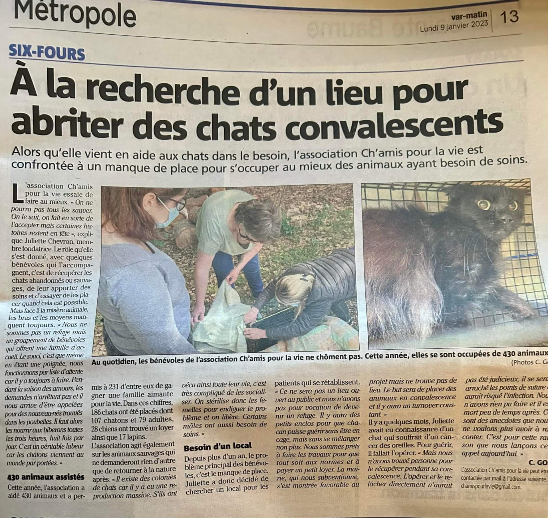 A la recherche d'un lieu pour abriter des chats convalescents | Ch'amis pour la vie