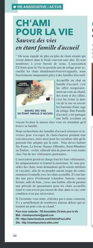 Sauvez des vies en étant famille d'accueil | Ch'amis pour la vie