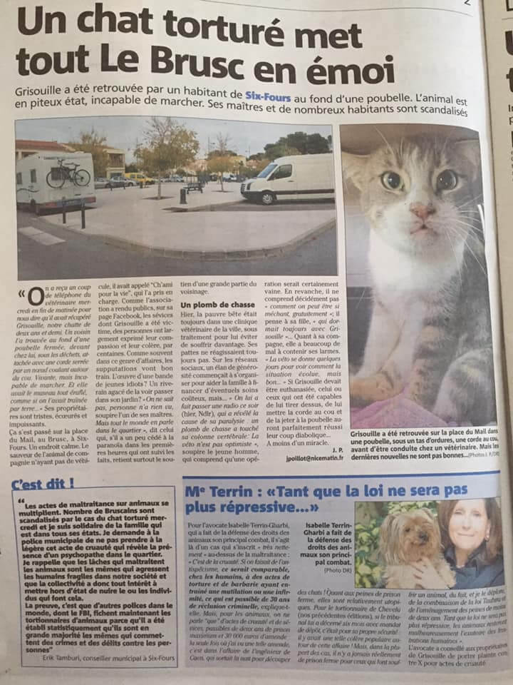 Un chat torturé met tout le Brusc en émoi | Ch'amis pour la vie