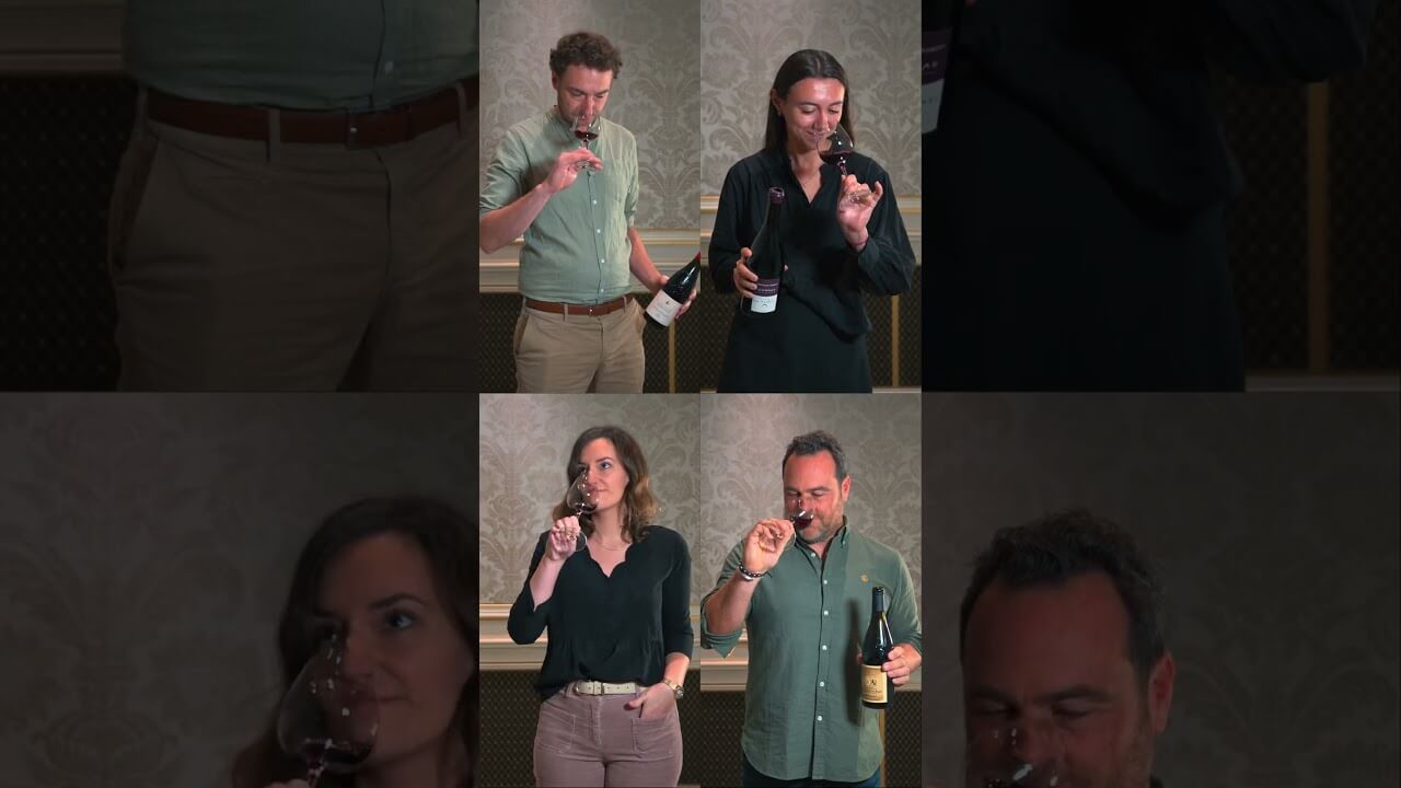 Rhône en Seine | Vidéact’ En mouvement vidéo