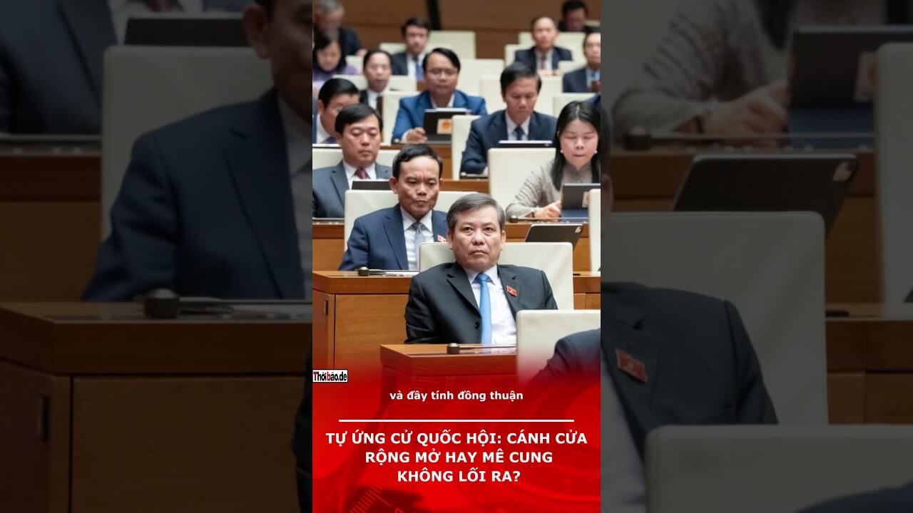 Tự ứng cử Quốc hội: cánh cửa rộng mở hay mê cung không lối ra?