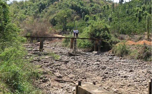 Biến đổi khí hậu : Tây Nguyên đang chết khô | Vietnam Fraternité