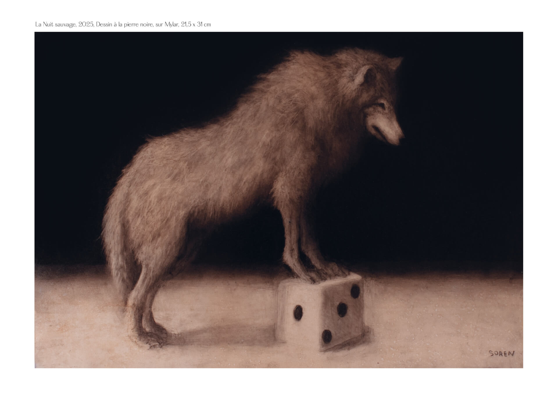 Une vie au hasard | HEY!