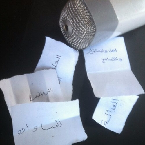 Radio Adala - Annecy 23 juin 2017 | Radio activite