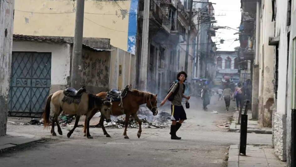 Vietnam Fraternité