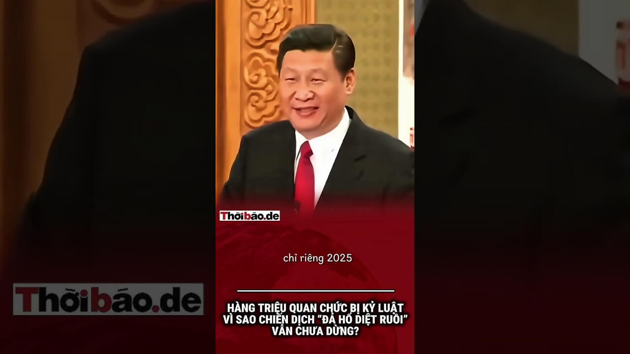THU HỒI TIỀN NGHỈ HƯU TRƯỚC TUỔI, BUỘC ĐI LÀM TRỞ LẠI, AI CHỊU TRÁCH NHIỆM?