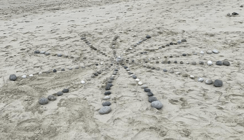 Yogathérapie et Land Art : Naissance d'une Rencontre Transformative | Impuls’Ions