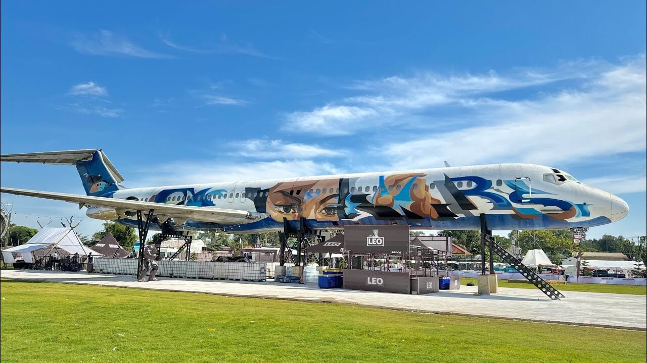 METAL BIRD - WARIS (spray paint on airplane)