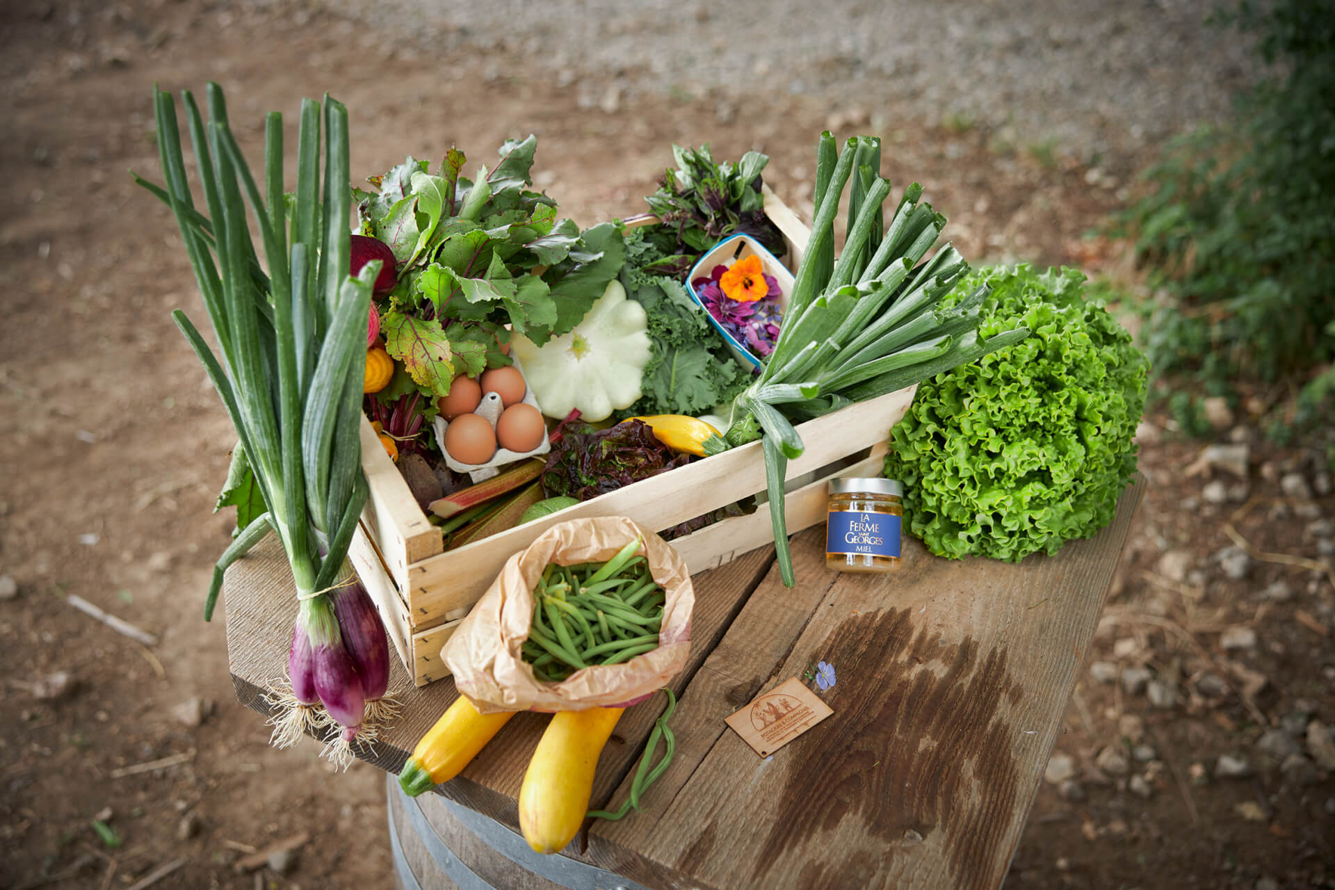 Potagers & Compagnie