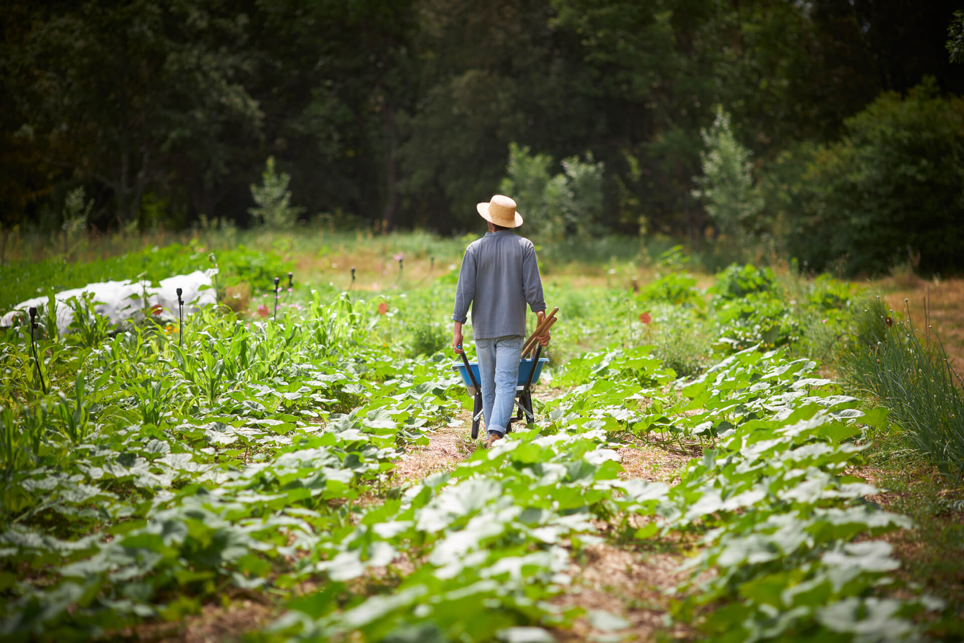 Potagers & Compagnie