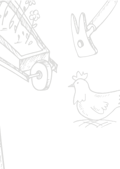 Potagers & Compagnie