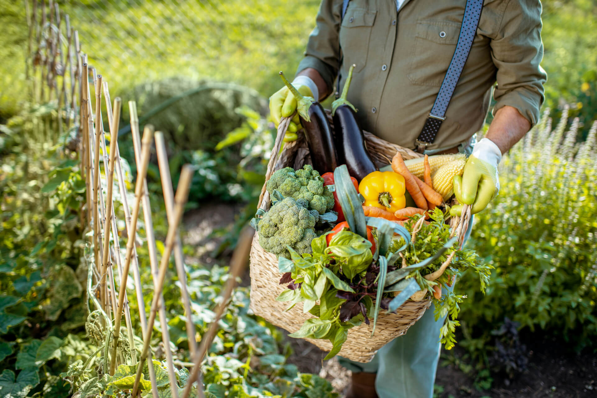 Potagers & Compagnie