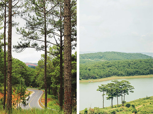 Nghĩ về Đồi Dinh và di sản đô thị Đà Lạt | Vietnam Fraternité
