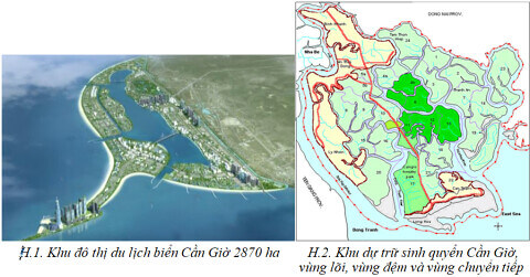 Khu đô thị du lịch lấn biển Cần Giờ… | Vietnam Fraternité