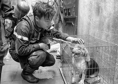 Cái chết của ba người lính cứu hỏa… | Vietnam Fraternité