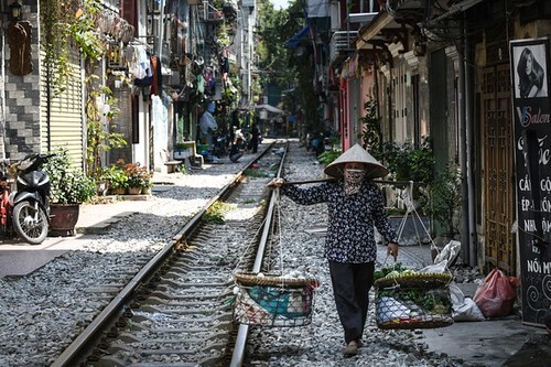 Chật vật sinh tồn | Vietnam Fraternité