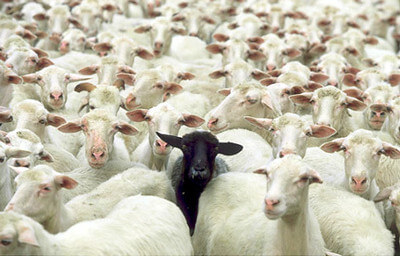 Chung sống với Covid : những điều bất cập | Vietnam Fraternité