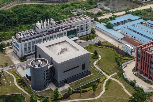 Làm thế nào để buộc Bắc Kinh nhận trách nhiệm về đại dịch virus corona | Vietnam Fraternité