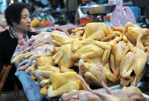 Dân Việt Nam được uống... sinh tố thịt gà ! | Vietnam Fraternité