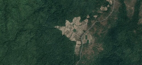 Muốn nhổ là nhổ | Vietnam Fraternité