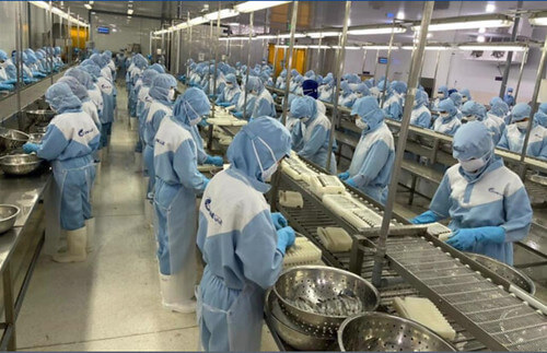 Xuất khẩu thủy sản giảm, gia công may mặc bị cạnh tranh | Vietnam Fraternité