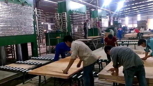 Vì sao doanh nghiệp gỗ Trung Quốc ồ ạt sang Việt Nam đầu tư ? | Vietnam Fraternité