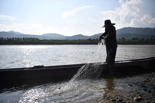 Ai đã "bức tử" đồng bằng sông Cửu Long | Vietnam Fraternité