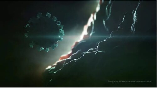 "Chúng ta phải chung sống với virus corona như đang sống với HIV" | Vietnam Fraternité