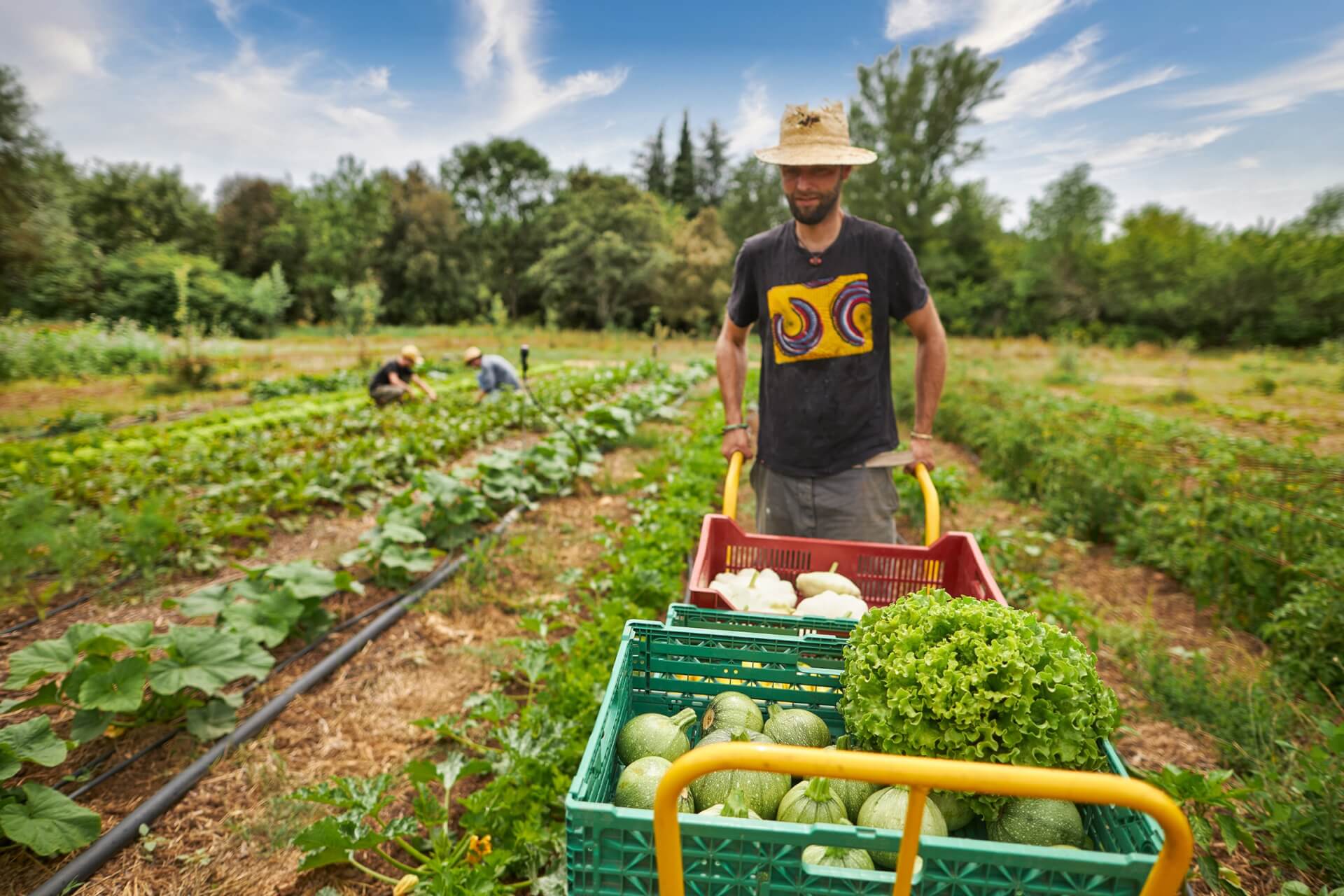 Potagers & Compagnie