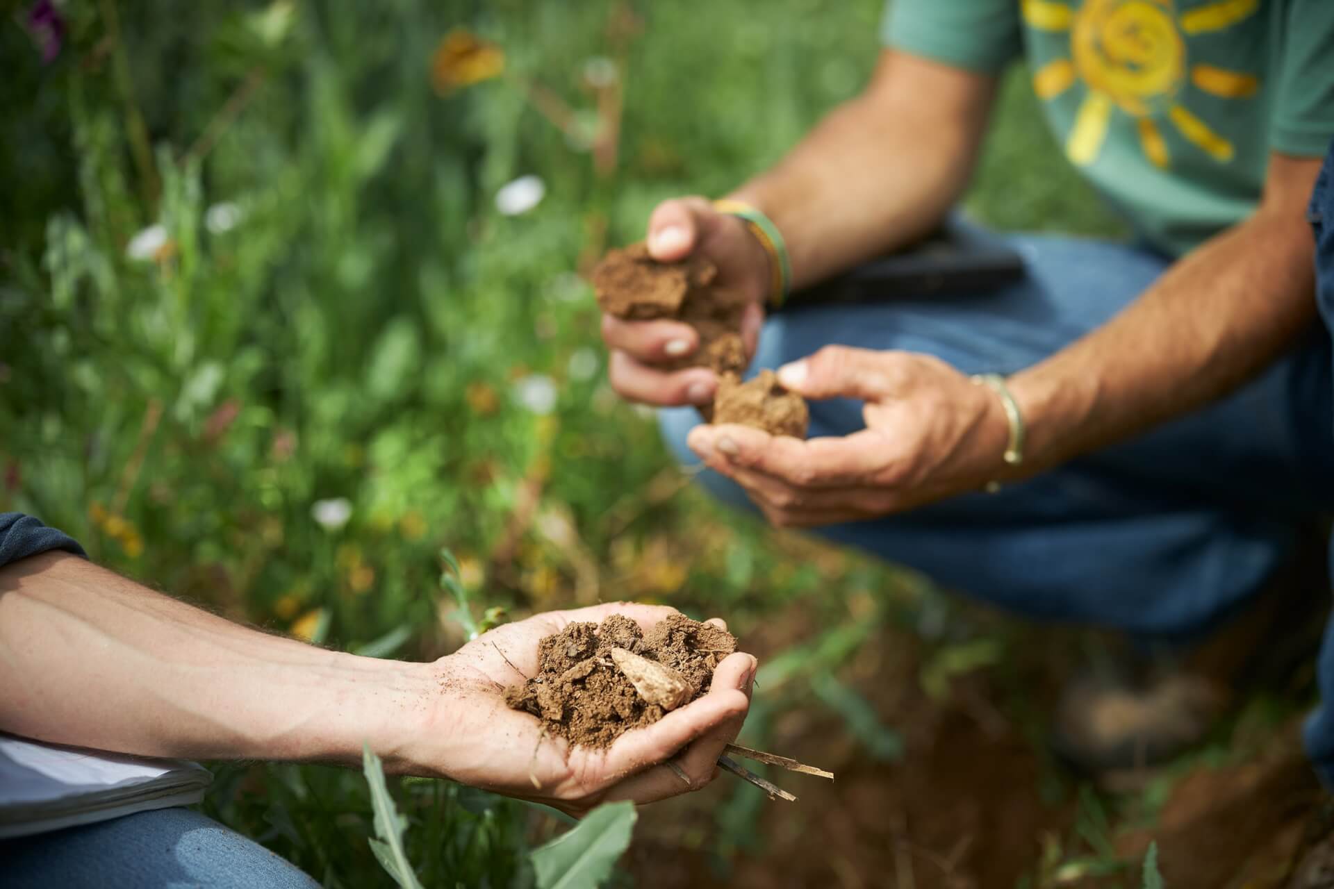 Potagers & Compagnie