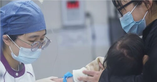 Thế giới nghi ngờ một virus mới vừa xuất hiện ở Trung Quốc | Vietnam Fraternité