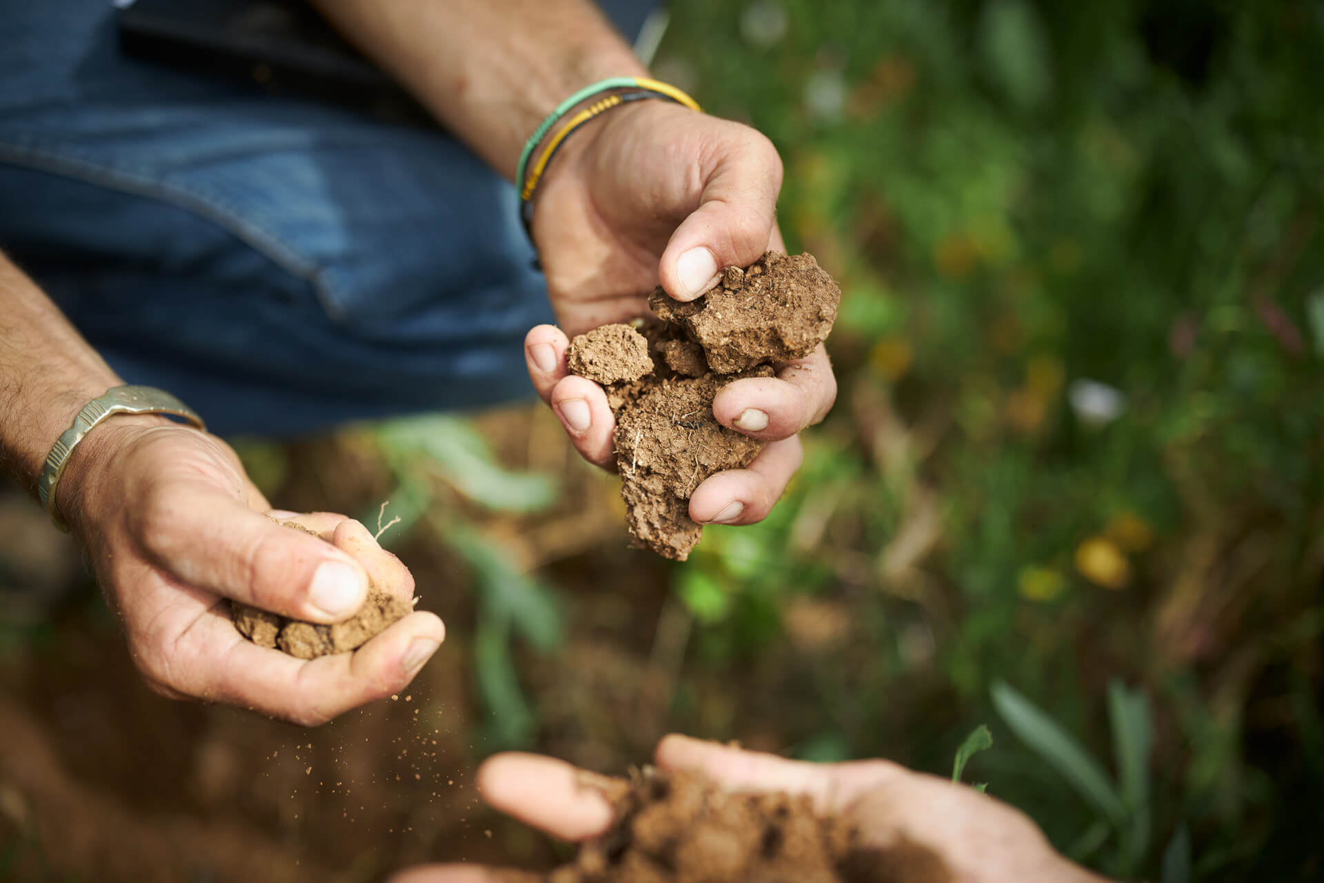 Préparer et utiliser la litière forestière fermentée, au Hameau de Montrieux | Potagers & Compagnie