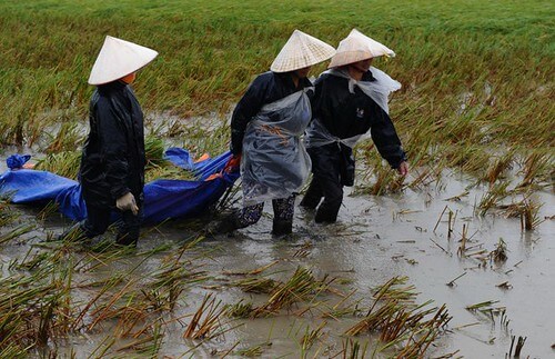 25 năm sau, nhìn lại biến cố Thái Bình 1997 | Vietnam Fraternité
