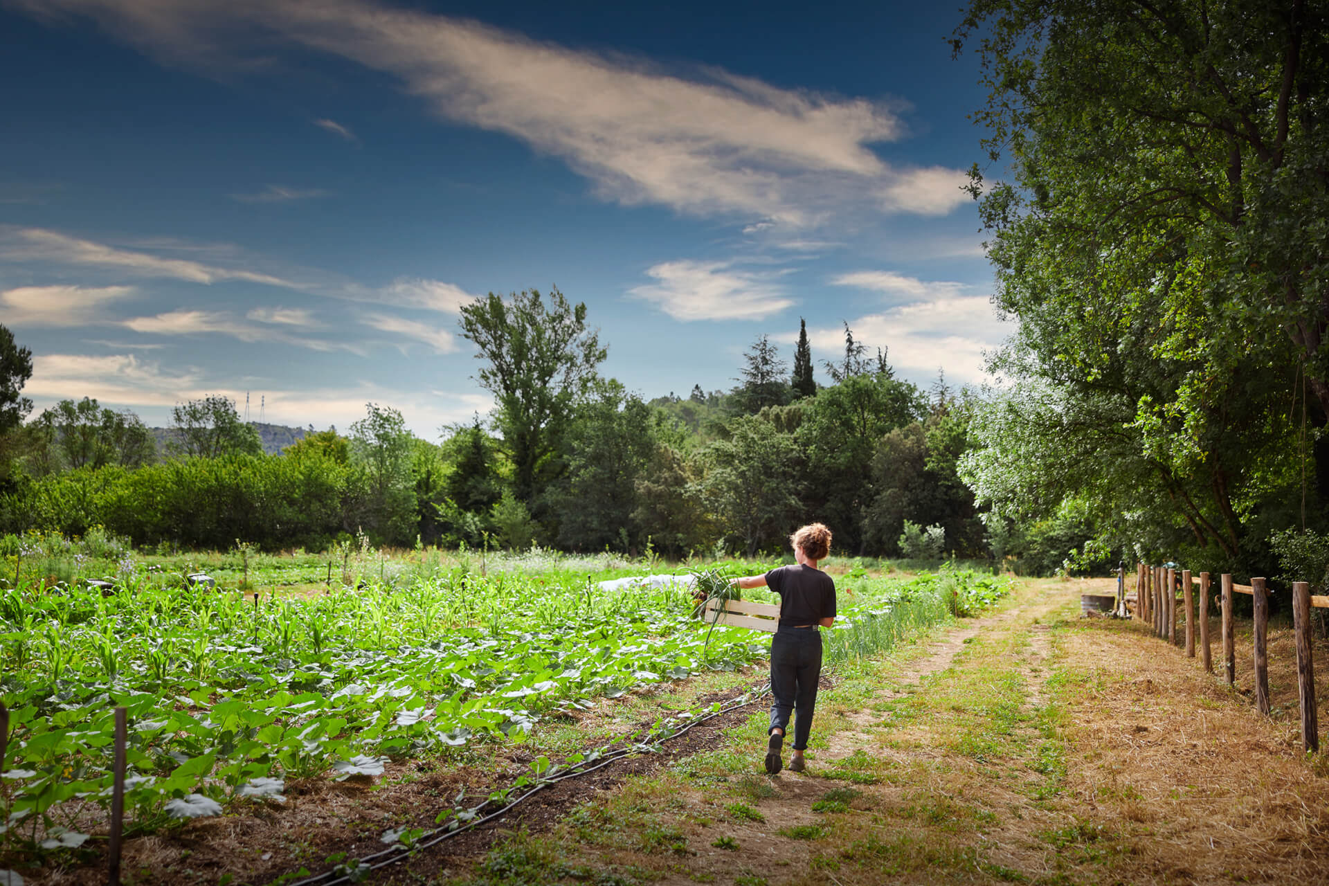 Potagers & Compagnie