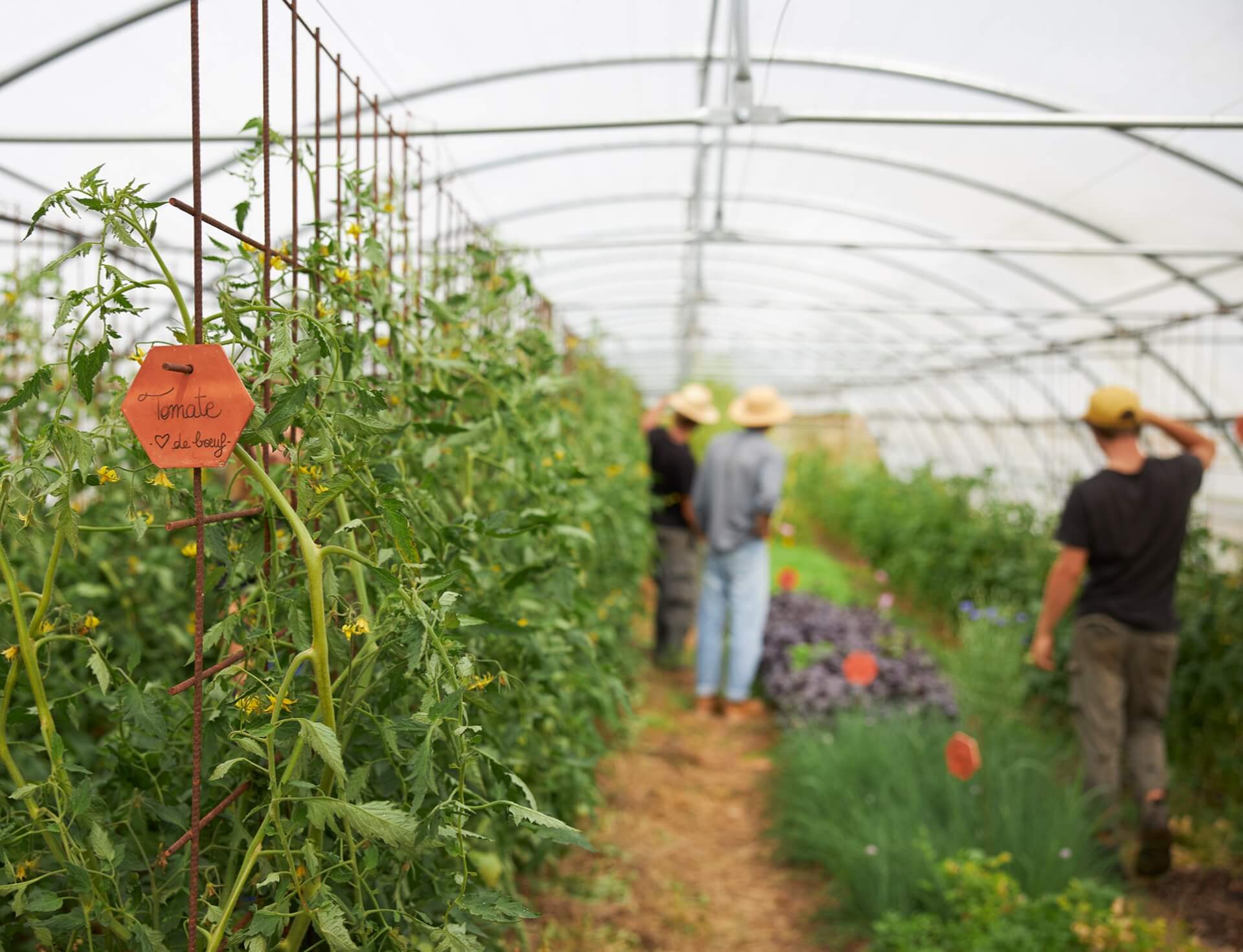 Potagers & Compagnie