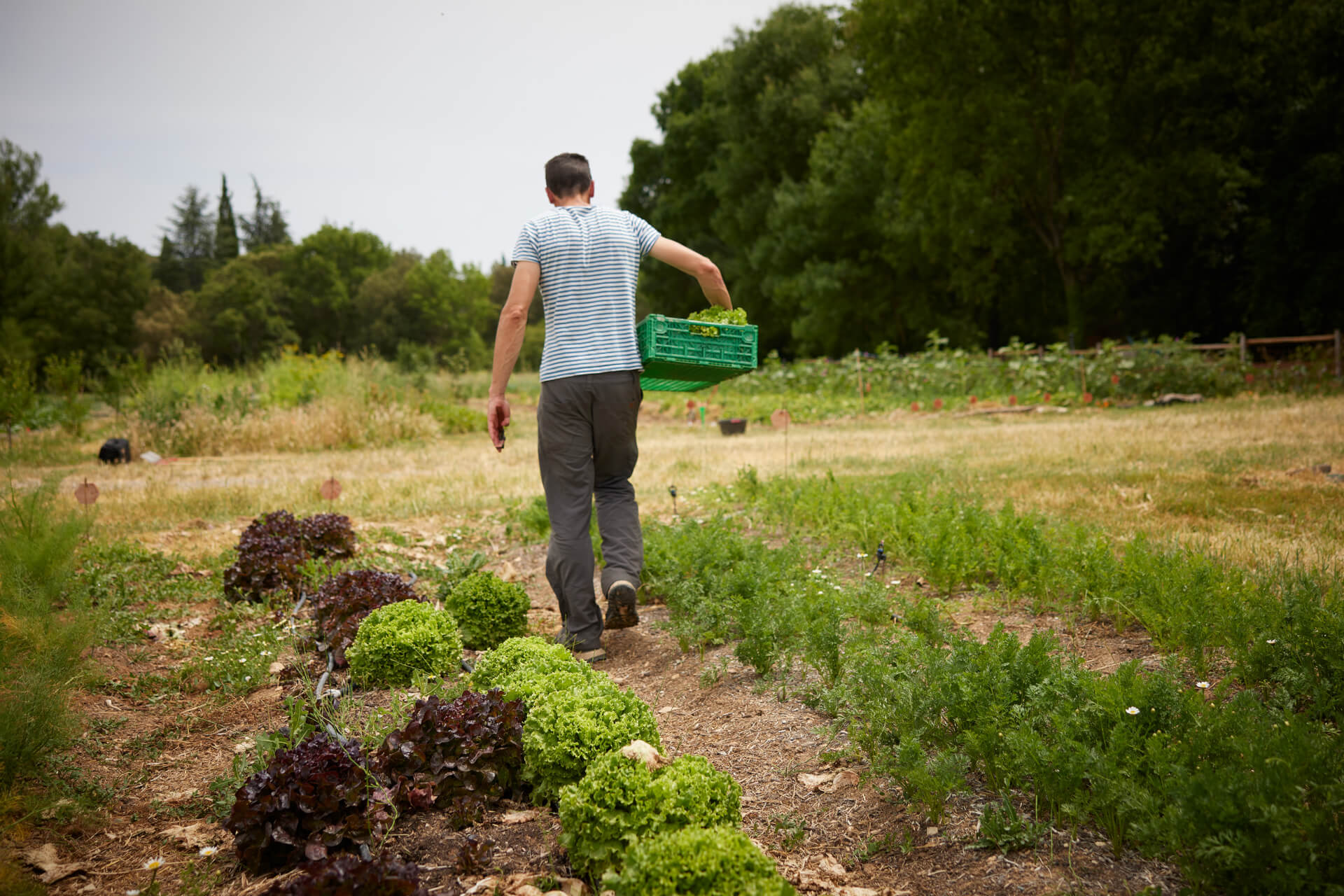 Potagers & Compagnie