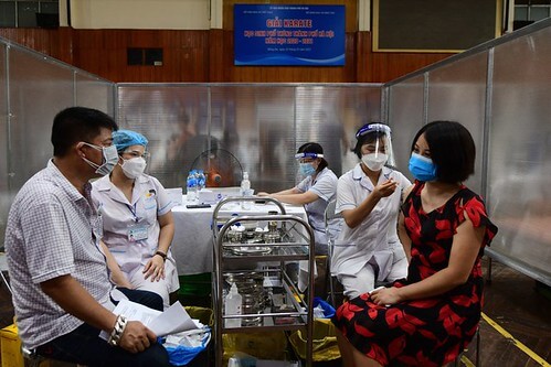 Nhà cháu chả dại ! | Vietnam Fraternité