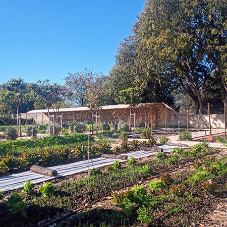 Accompagnement technique du potager qui alimente le restaurant gastronomique du Château d’Estoublon | Potagers & Compagnie