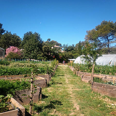 Création d'un potager d'entreprise en bacs pour Soleil du Sud | Potagers & Compagnie